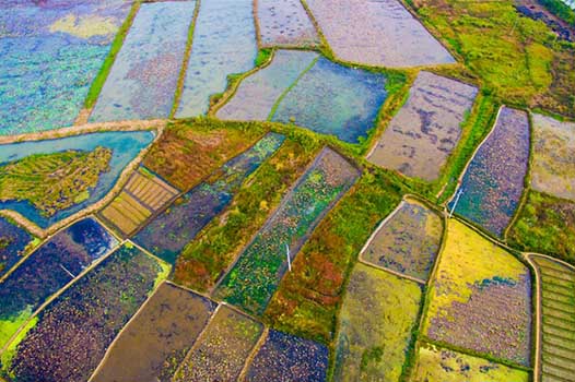 农村土地确权 人口_农村土地确权流程图(2)